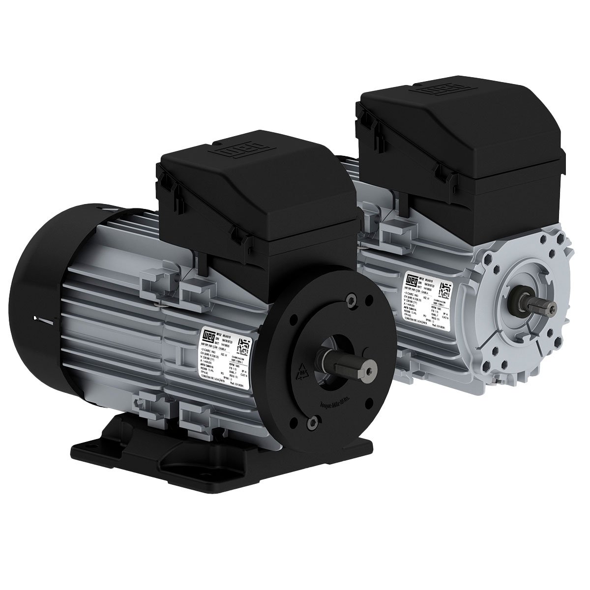 weg-motor-1